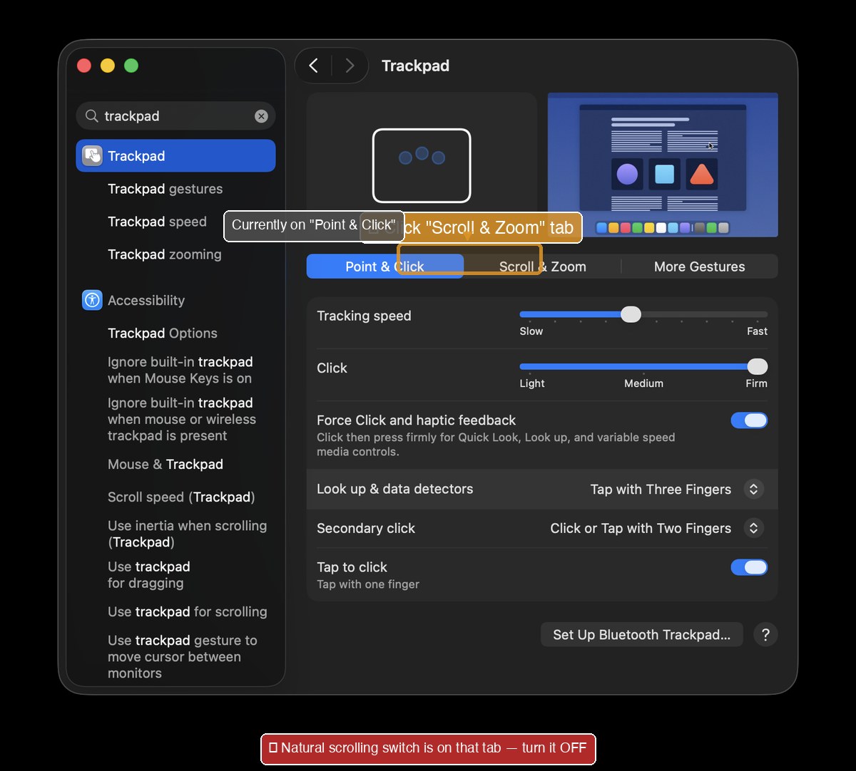 System Settings Trackpad with Scroll and Zoom tab highlighted